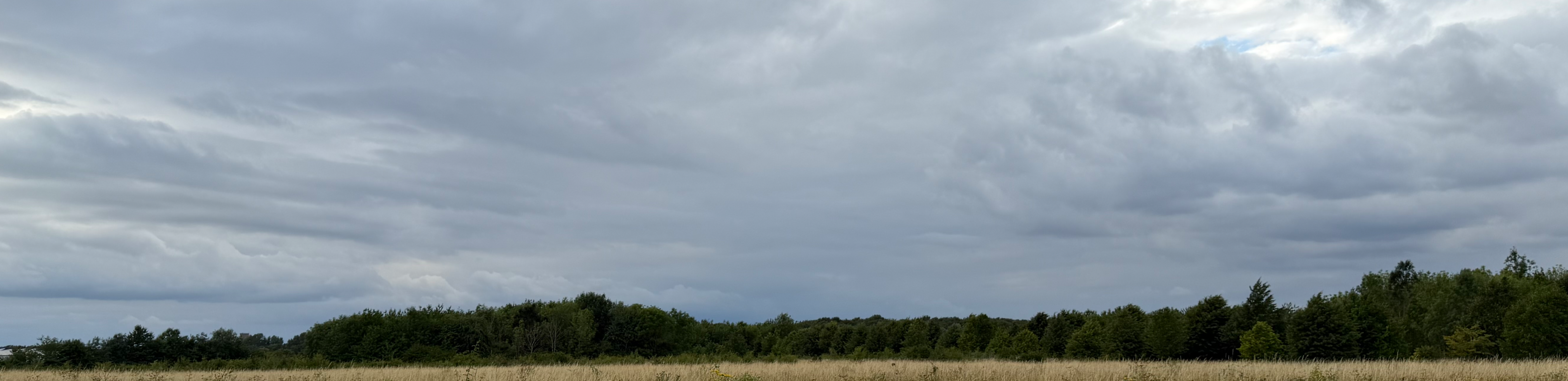 profile header image