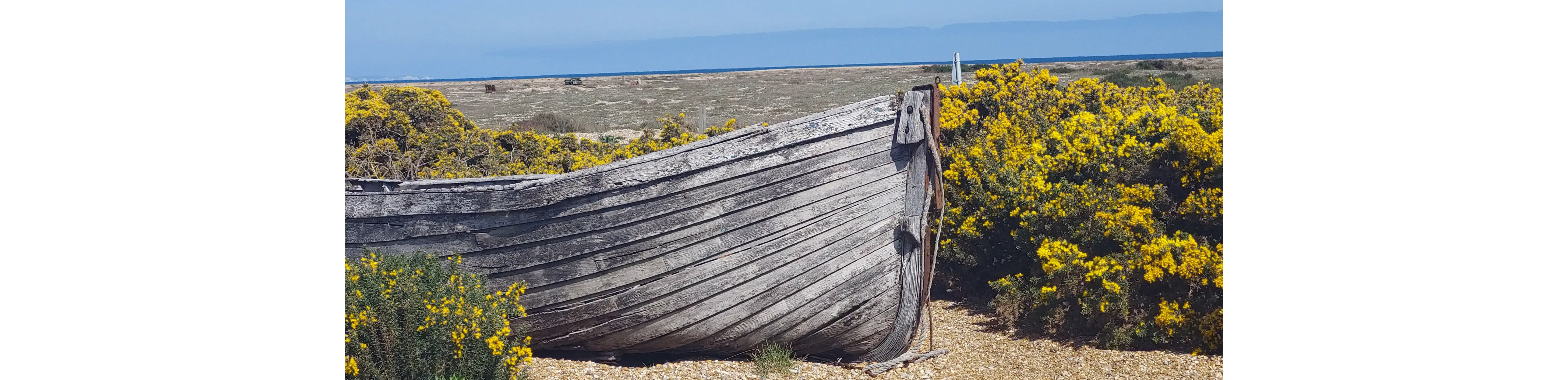 profile header image