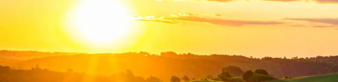 profile header image