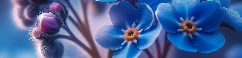 profile header image