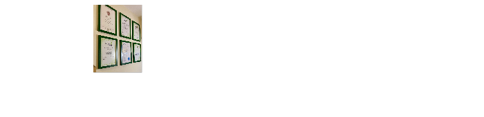 profile header image