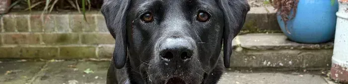 profile header image