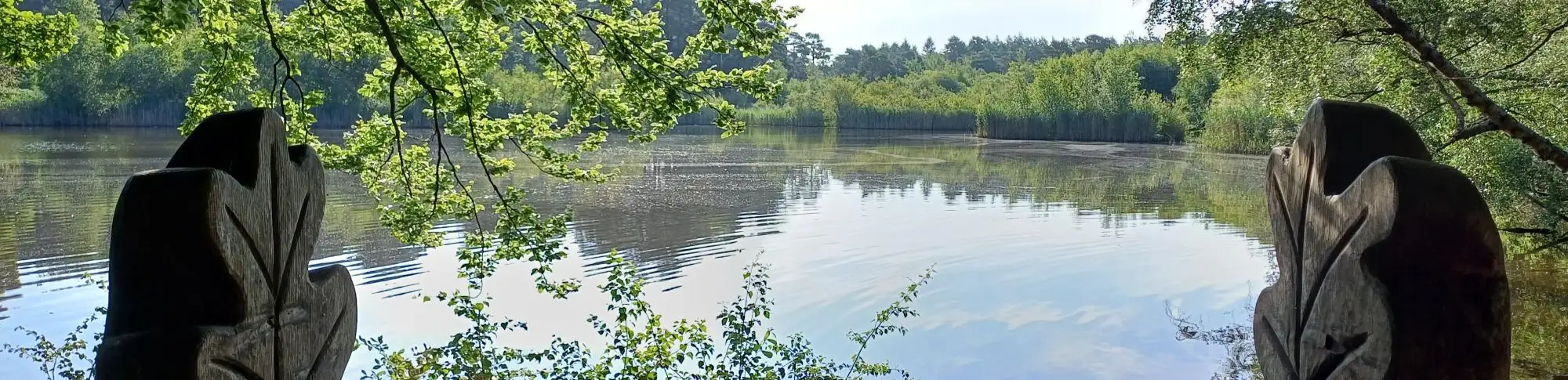 profile header image