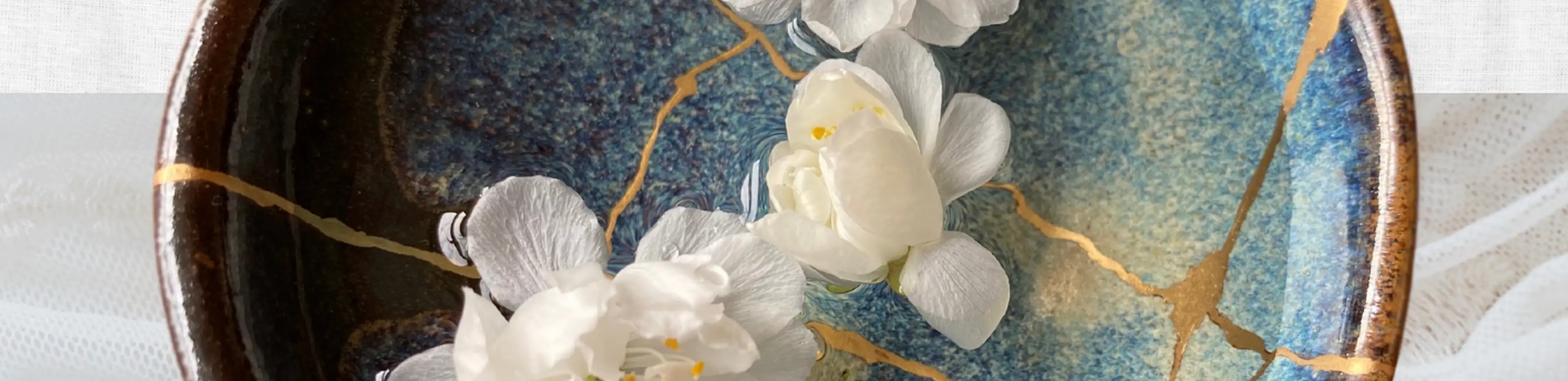 profile header image
