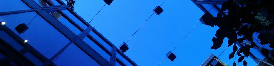 profile header image