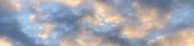 profile header image