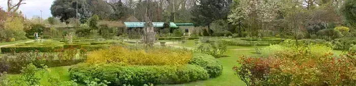 profile header image