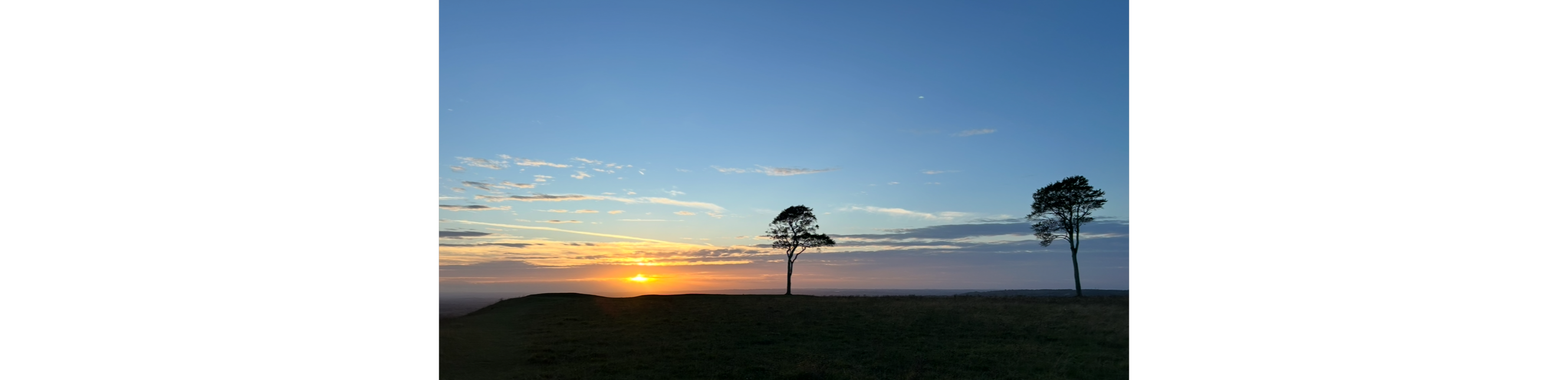 profile header image