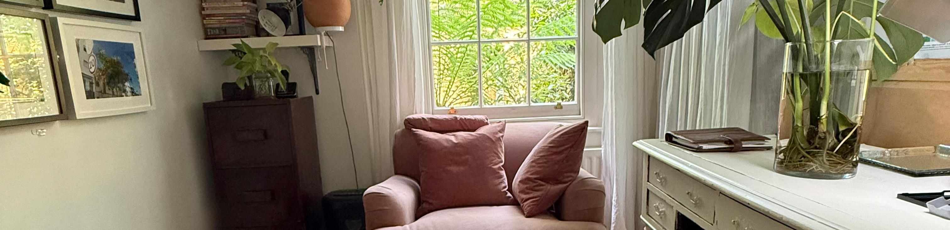 profile header image