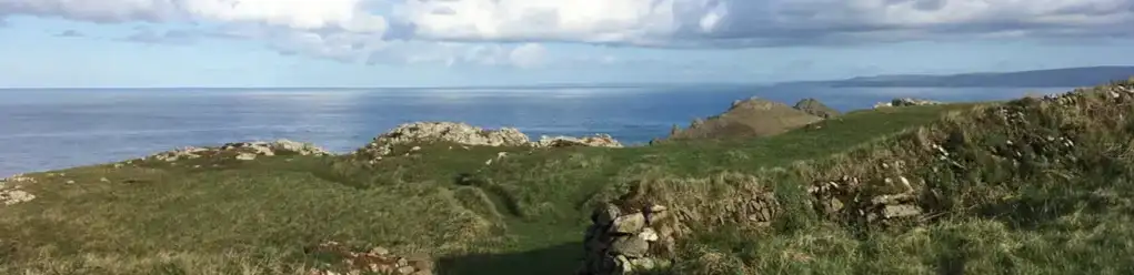 profile header image