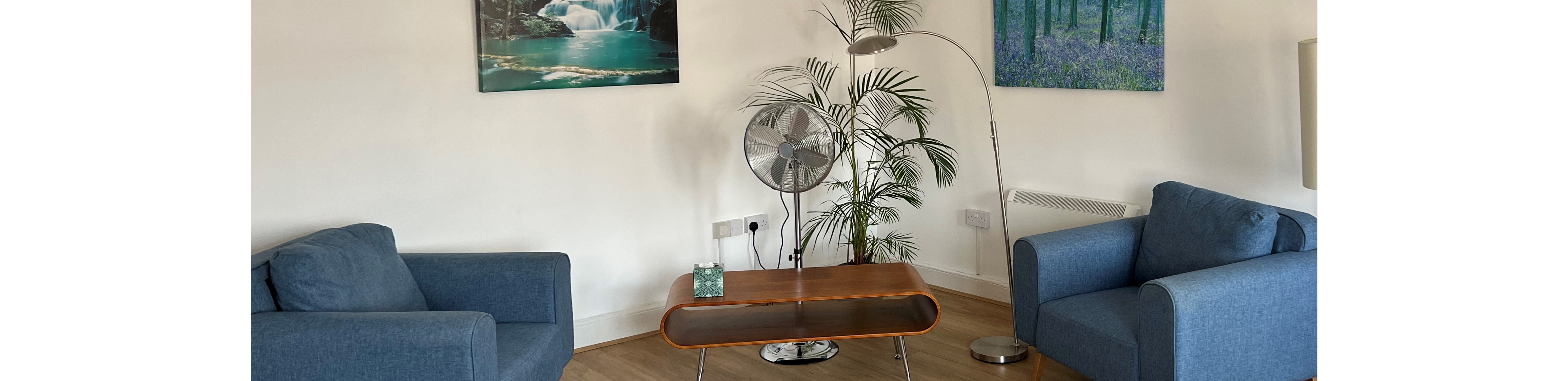 profile header image