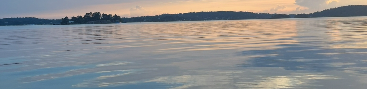 profile header image