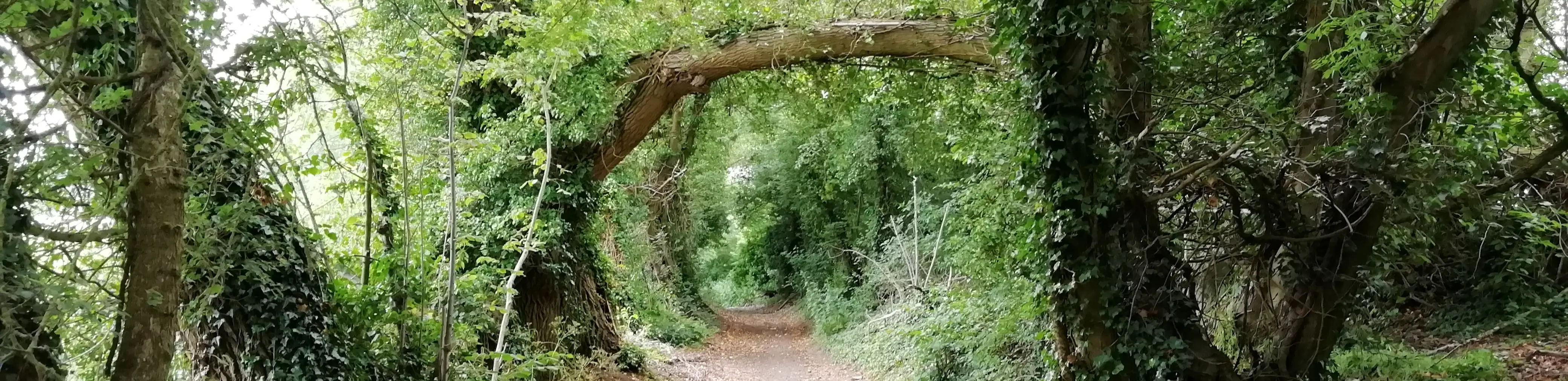 profile header image