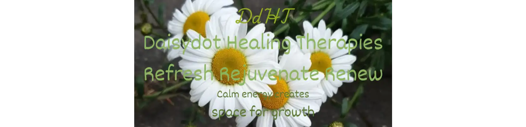 profile header image