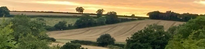 profile header image