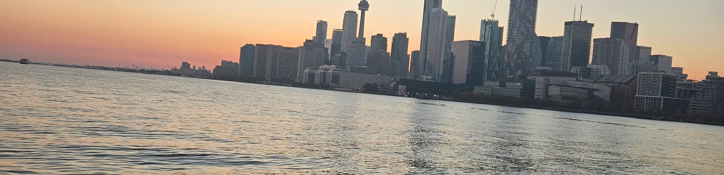 profile header image