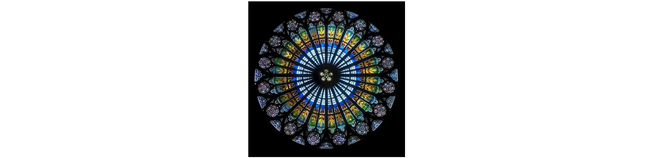 profile header image