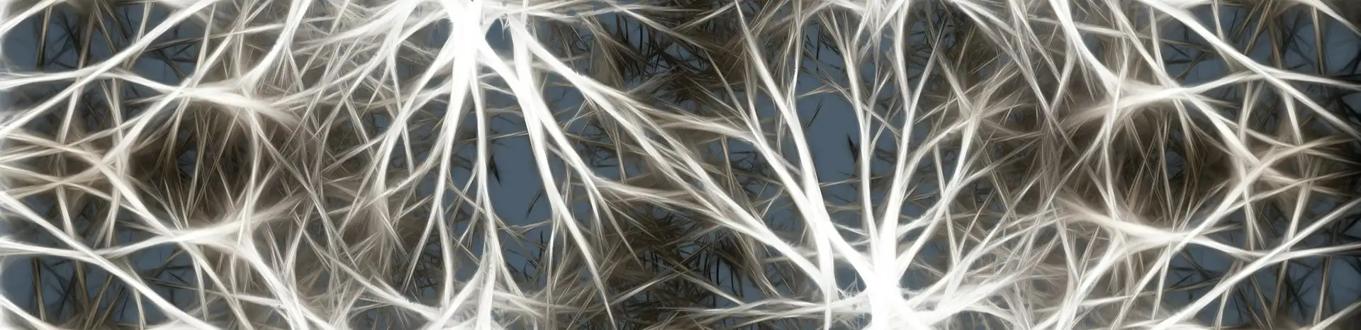 profile header image