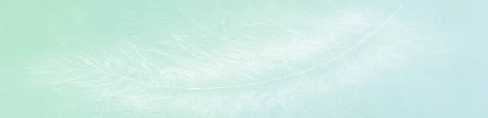 profile header image