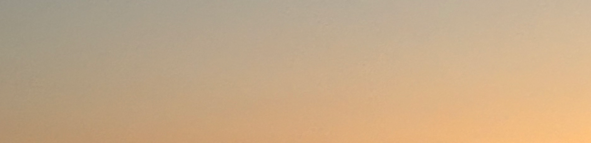 profile header image