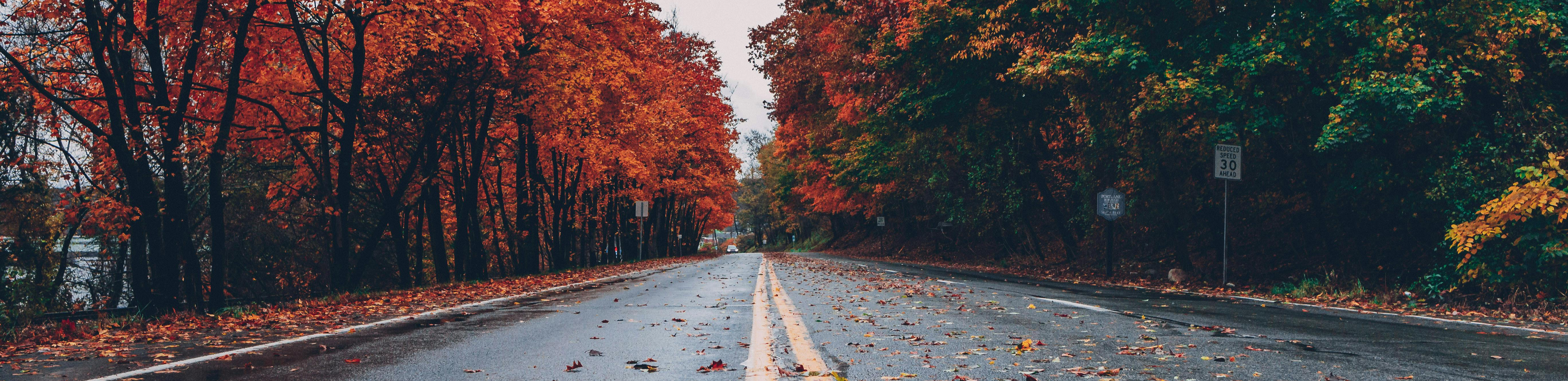 profile header image