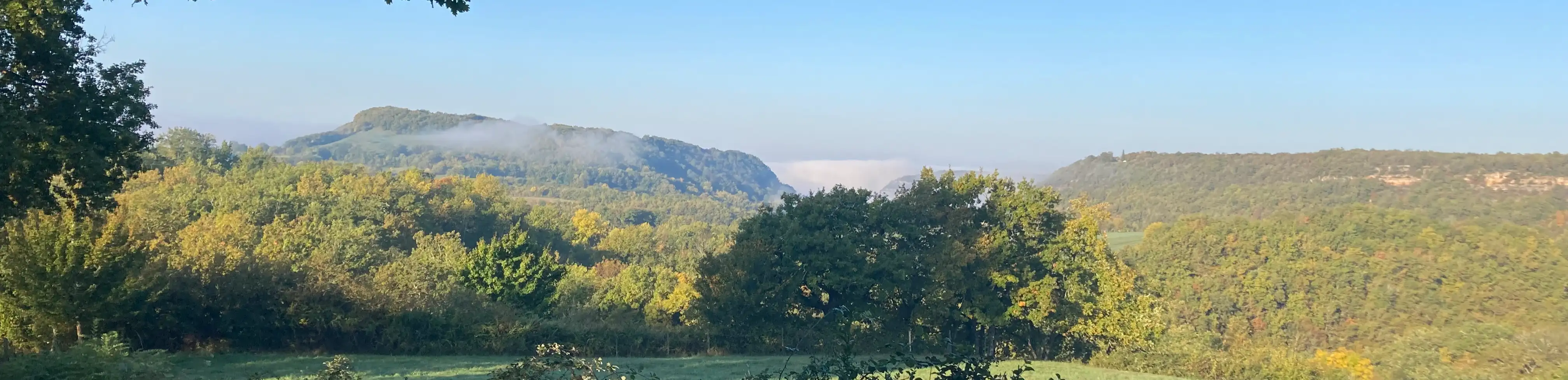 profile header image