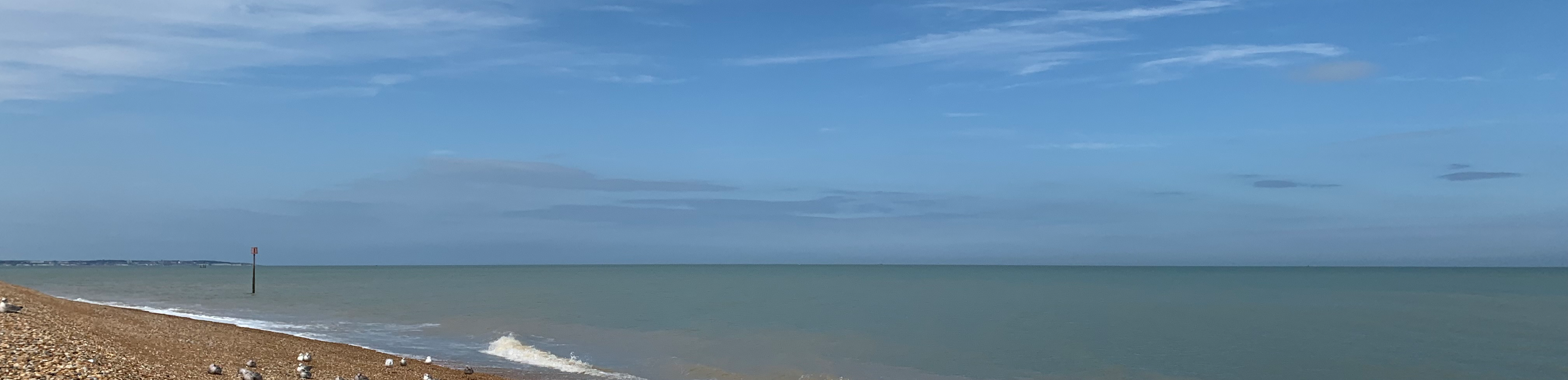 profile header image