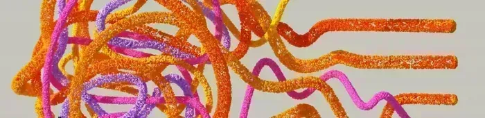 profile header image