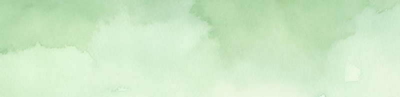 profile header image