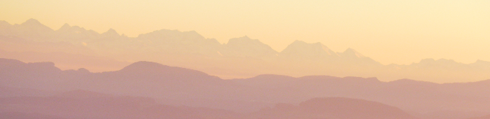 profile header image