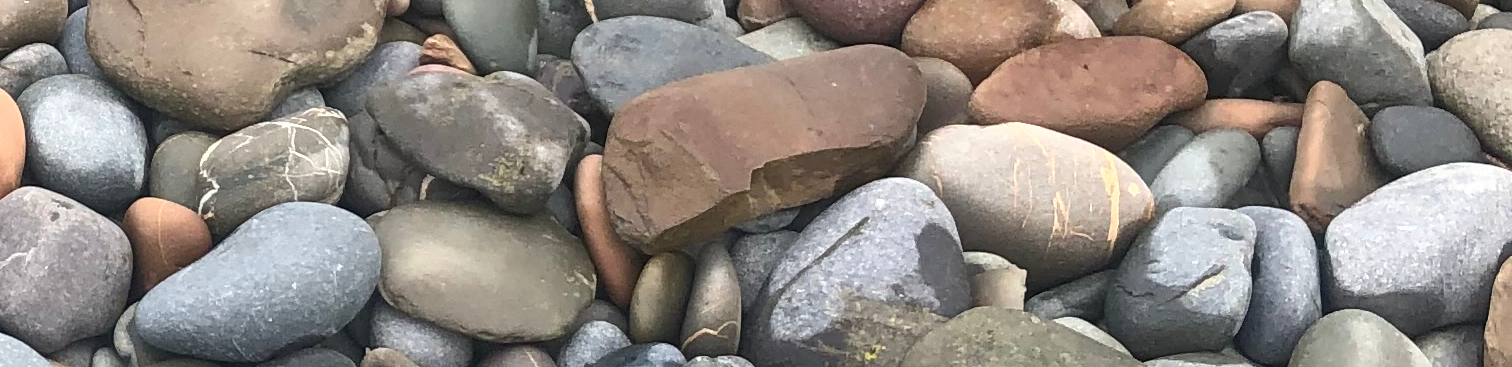 profile header image