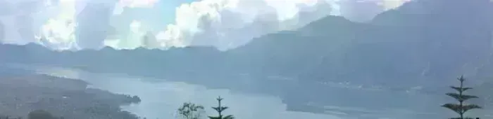 profile header image