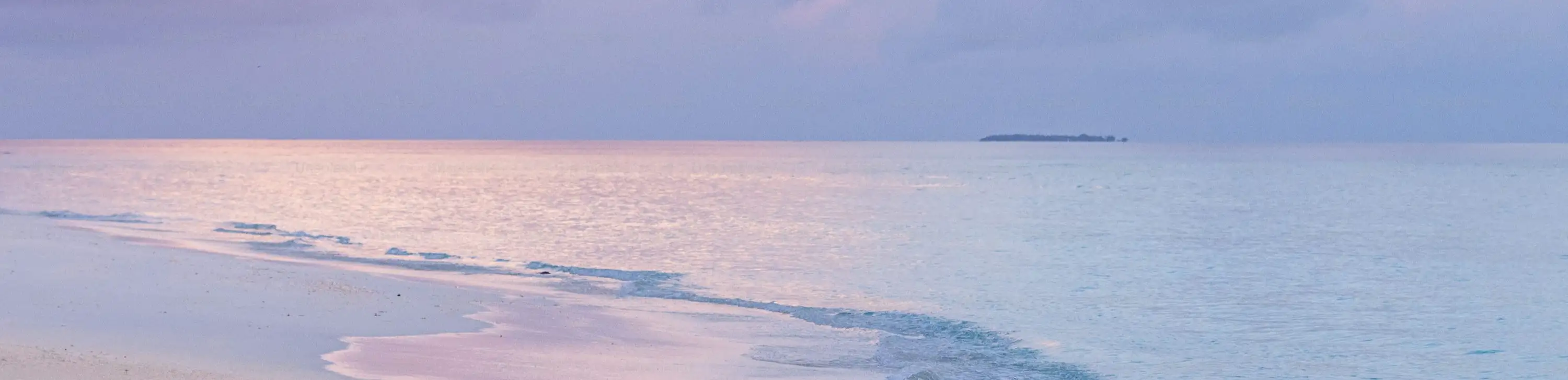 profile header image