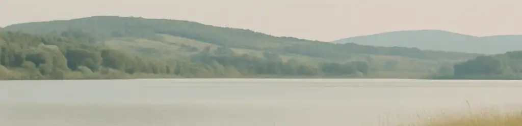 profile header image