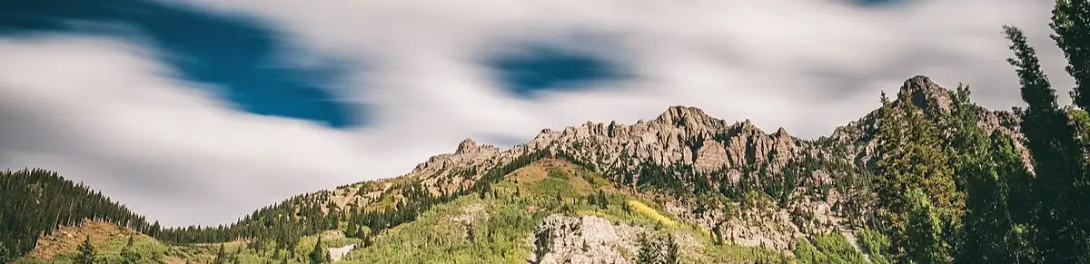 profile header image