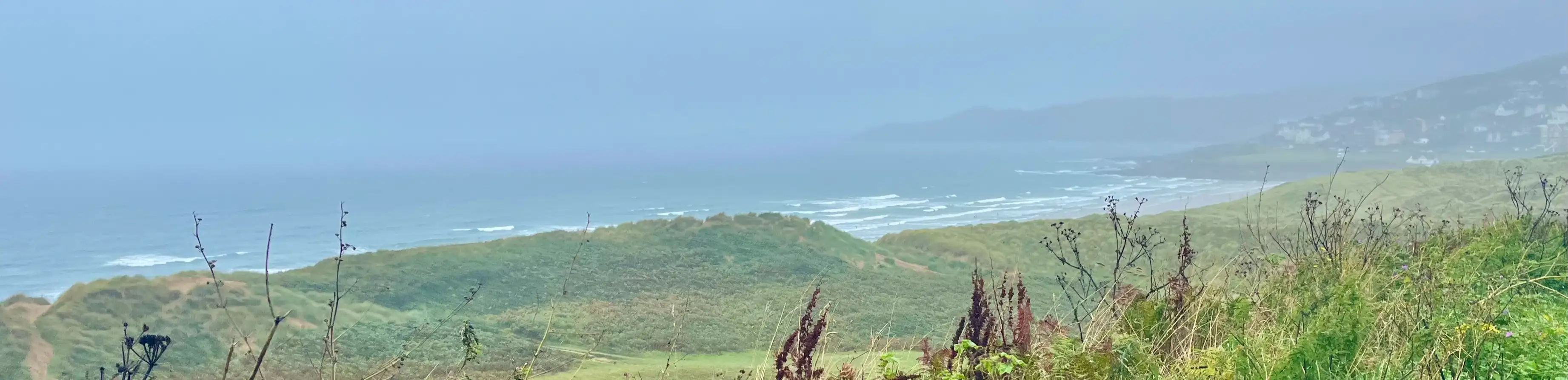 profile header image