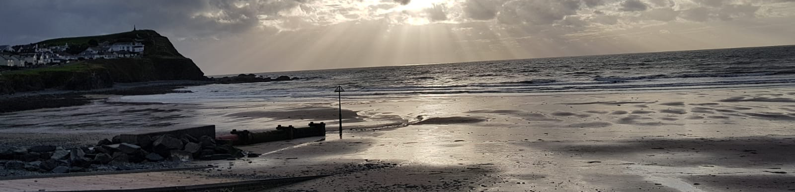 profile header image