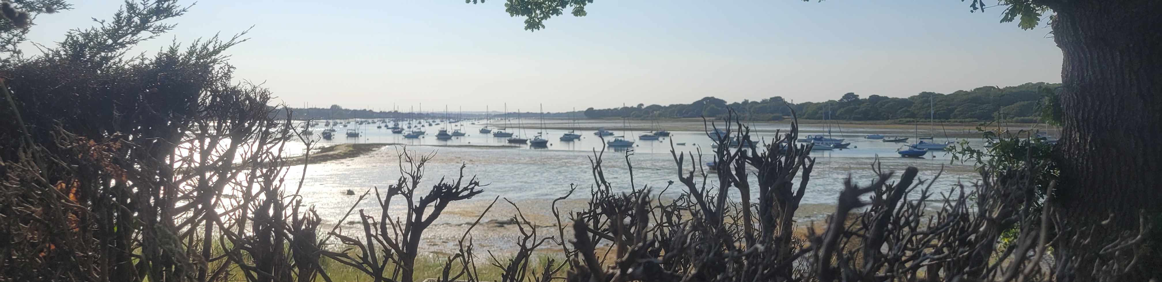 profile header image