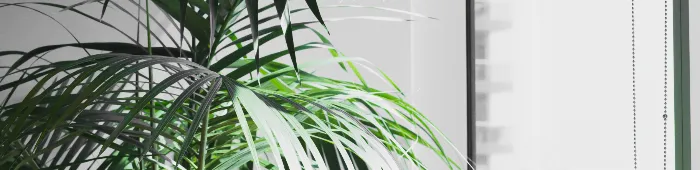 profile header image