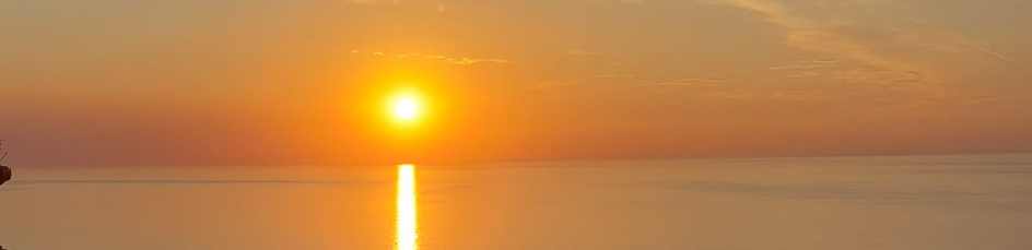 profile header image