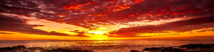 profile header image