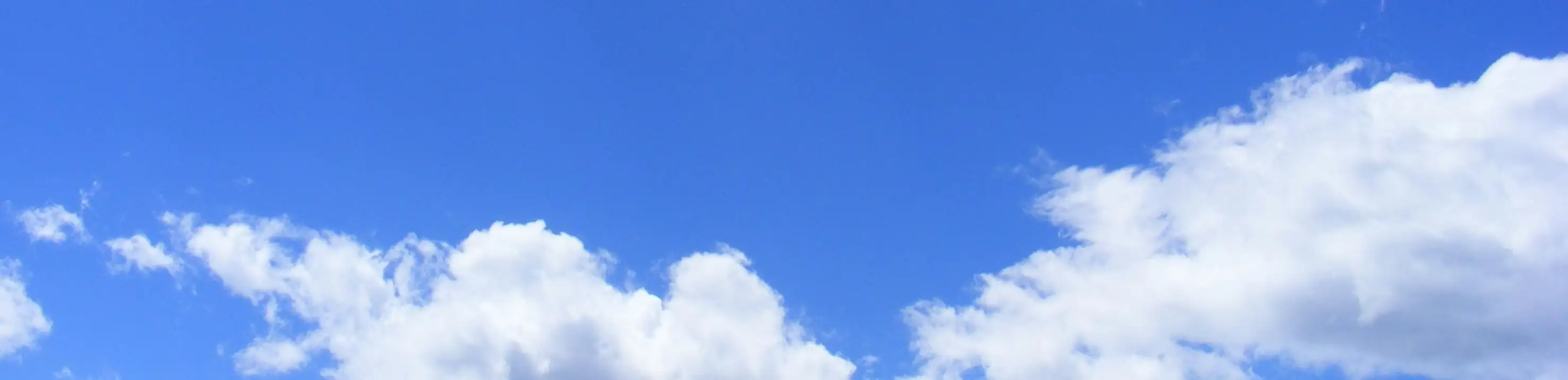 profile header image