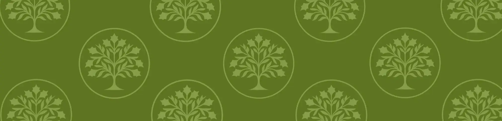 profile header image