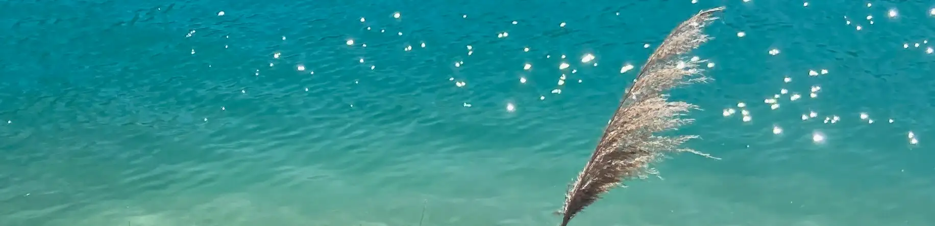 profile header image