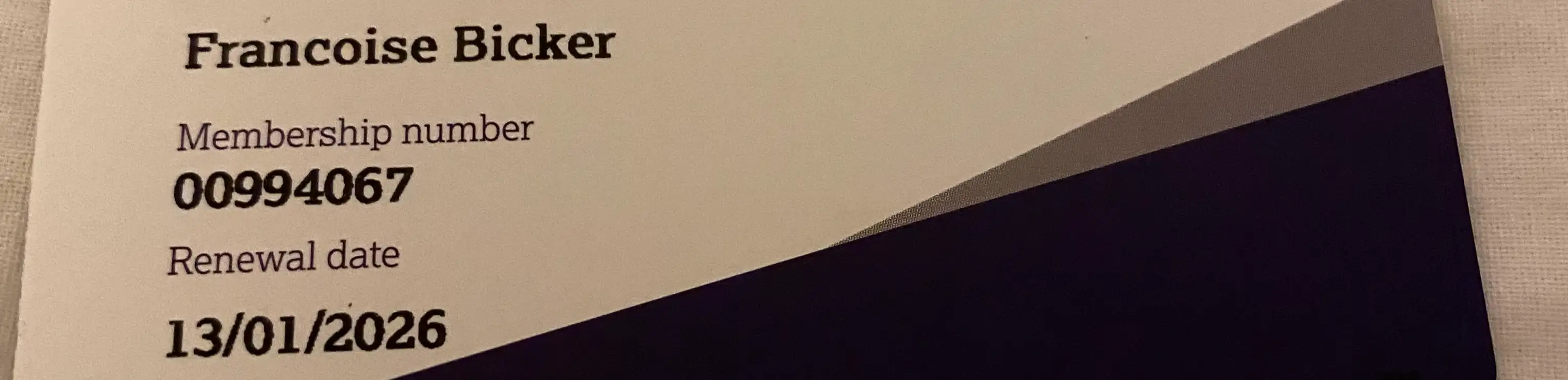 profile header image
