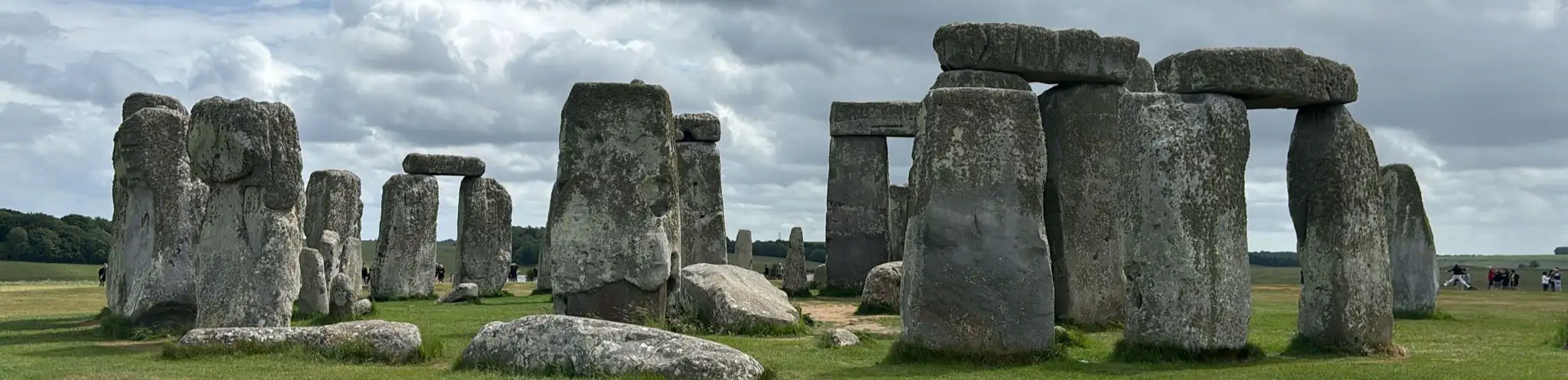 profile header image