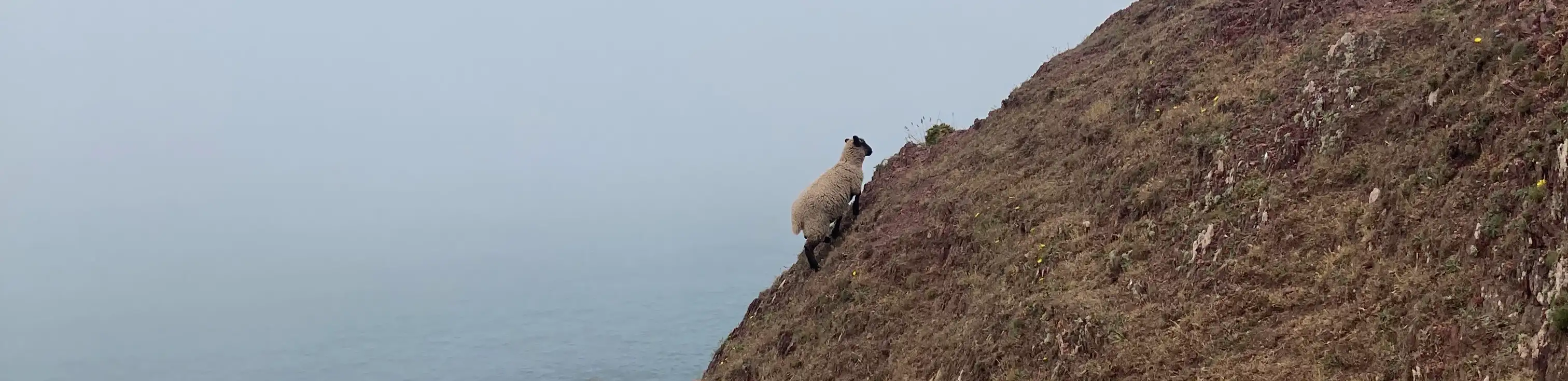 profile header image