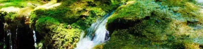 profile header image