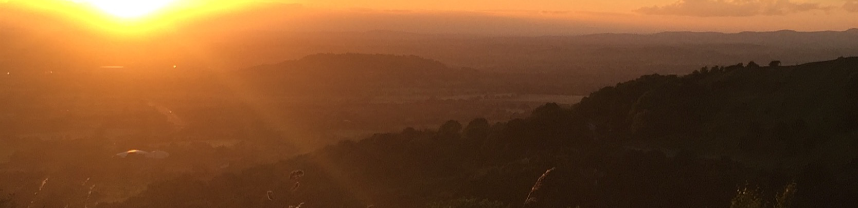 profile header image