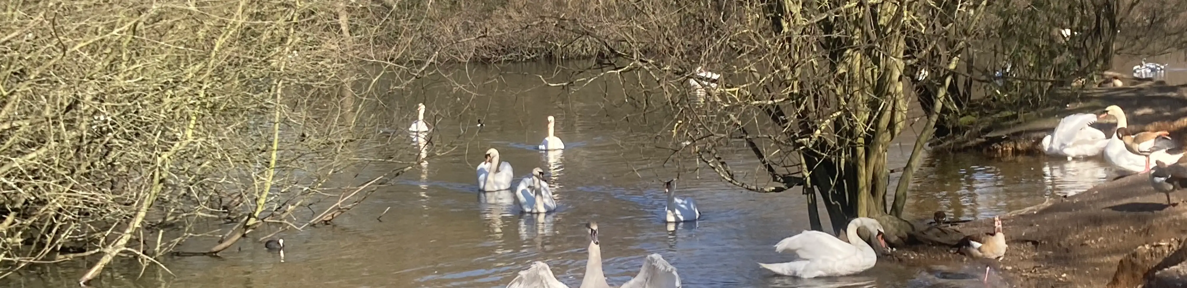 profile header image